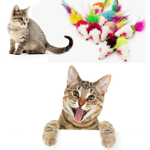 pet toy Furry Mouse Cat Kitten Real Fur Gravel -  Lovely Dealz 